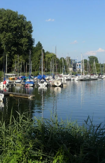 Segelboote liegen vertäut an einem Steg eines ruhigen Sees, im Hintergrund sind Bäume sichtbar.