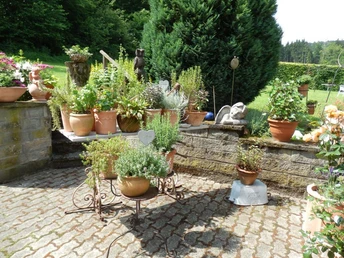 Kräutergarten am Landgasthof Mücke in Marsberg Kräutergarten mit zahlreichen Tontöpfen, in denen frische Kräuter auf einer Terrasse angepflanzt sind.