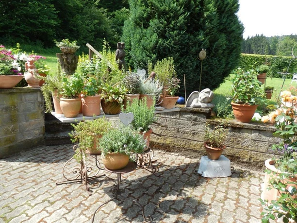 Kräutergarten am Landgasthof Mücke in Marsberg Kräutergarten mit zahlreichen Tontöpfen, in denen frische Kräuter auf einer Terrasse angepflanzt sind.