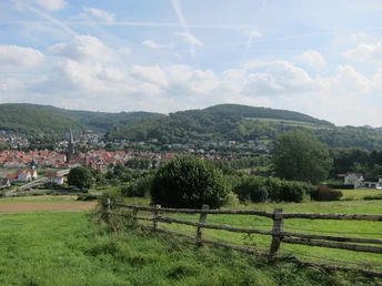 Ausblick vom Osterberg auf Lügde Blick über grüne Wiesen und einen Holzzaun auf die Stadt Lügde, umgeben von sanften Hügeln.