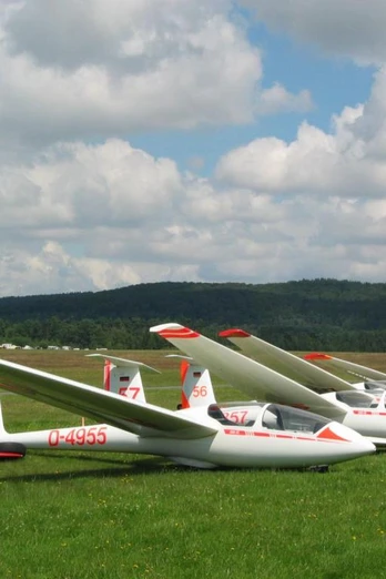 Mehrere Segelflugzeuge auf einer Wiese am Flugplatz Oerlinghausen unter wolkigem Himmel.