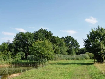 Laichgewässer des bedrohten Kammmolches Naturnahes Laichgewässer des Kammmolches, umgeben von Bäumen und Wiesen unter blauem Himmel.