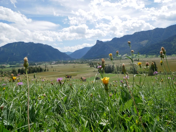 Blick auf den Kofel