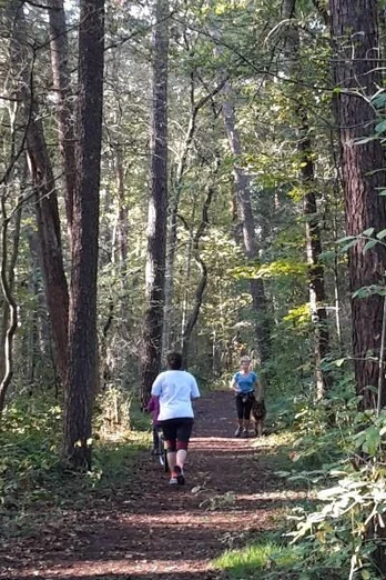 Jogger auf einem Waldweg bei Kilometer 1,5 in herbstlicher Umgebung mit dichten Bäumen am Wilhelmsberg.