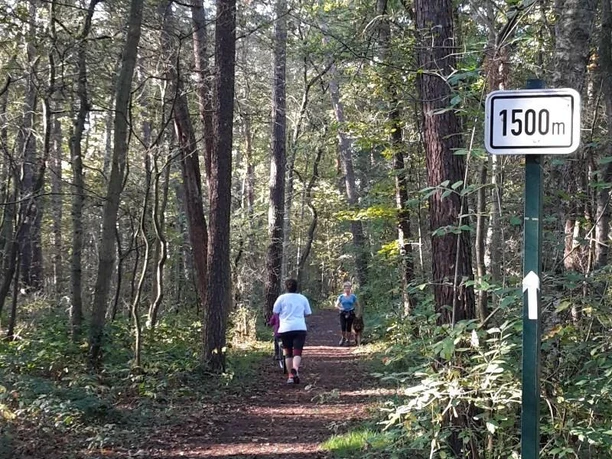 Joggingpfad am Wilhelmsberg Jogger auf einem Waldweg bei Kilometer 1,5 in herbstlicher Umgebung mit dichten Bäumen am Wilhelmsberg.