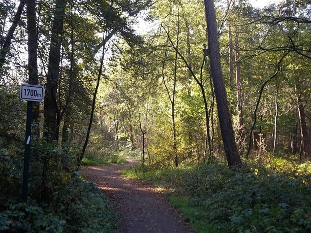 Joggingpfad am Wilhelmsberg Lichtdurchfluteter Waldweg mit grüner Vegetation, Baumstämmen und einem Schild, das 1700 Meter anzeigt.