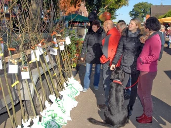 Apfeltag 2016 Stand Baumschule (594 x 397).jpg