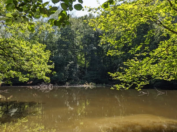Blauer See im Habichtswald