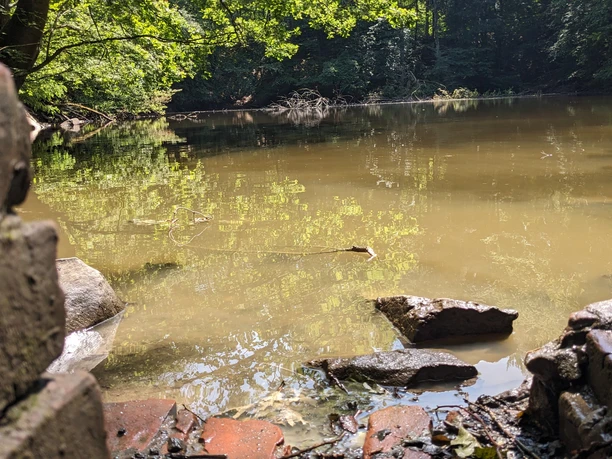 Blauer See im Habichtswald