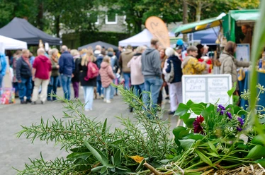 Kräuter und Blumen im Vordergrund, dahinter Besucher an Ständen des Landmarkts