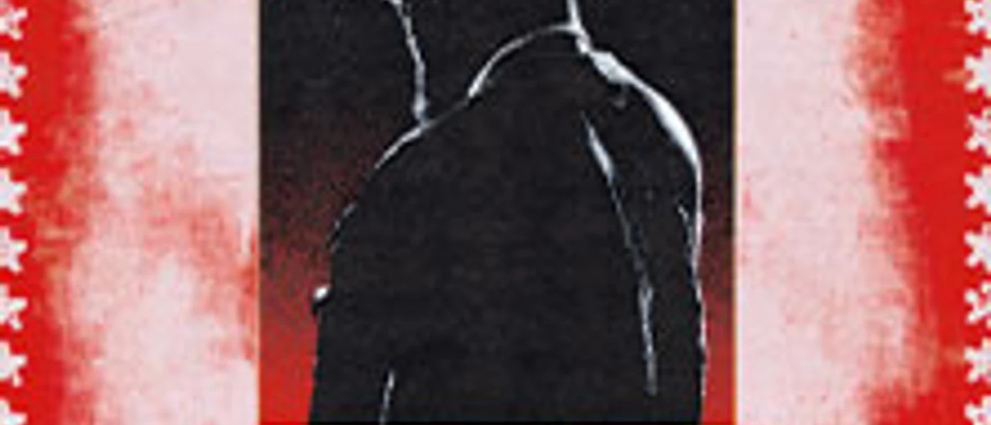 Rotes Tourplakat von JPEGMAFIA mit schwarzem, rissigem Bogenmotiv und Schriftzug
