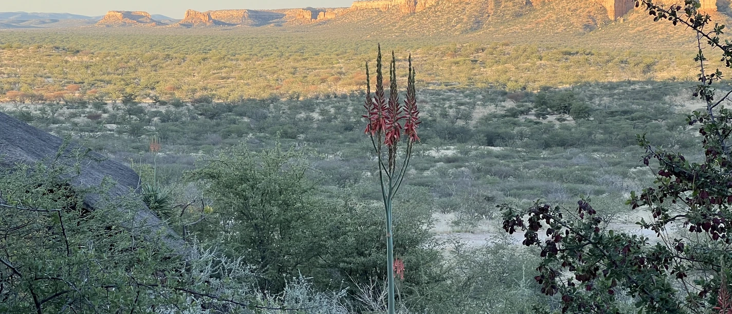 Faszination Afrika – Namibia, 2. Teil!