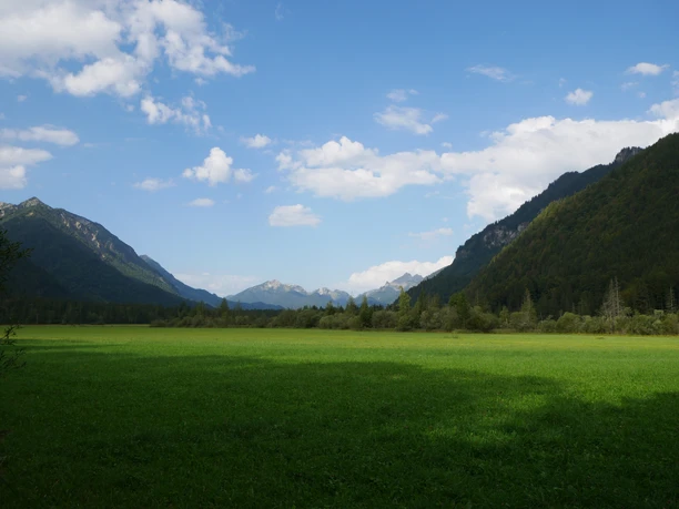 Panorama-Ausblick auf das Weidmoos Panorama-Ausblick auf das Weidmoos