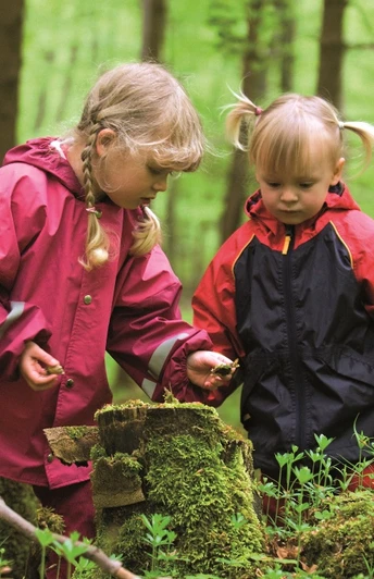 Zwei Kinder in Regenkleidung erforschen einen moosbedeckten Baumstamm im grünen Wald.