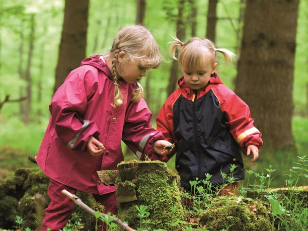 Kinder entdecken den Wald Zwei Kinder in Regenkleidung erforschen einen moosbedeckten Baumstamm im grünen Wald.