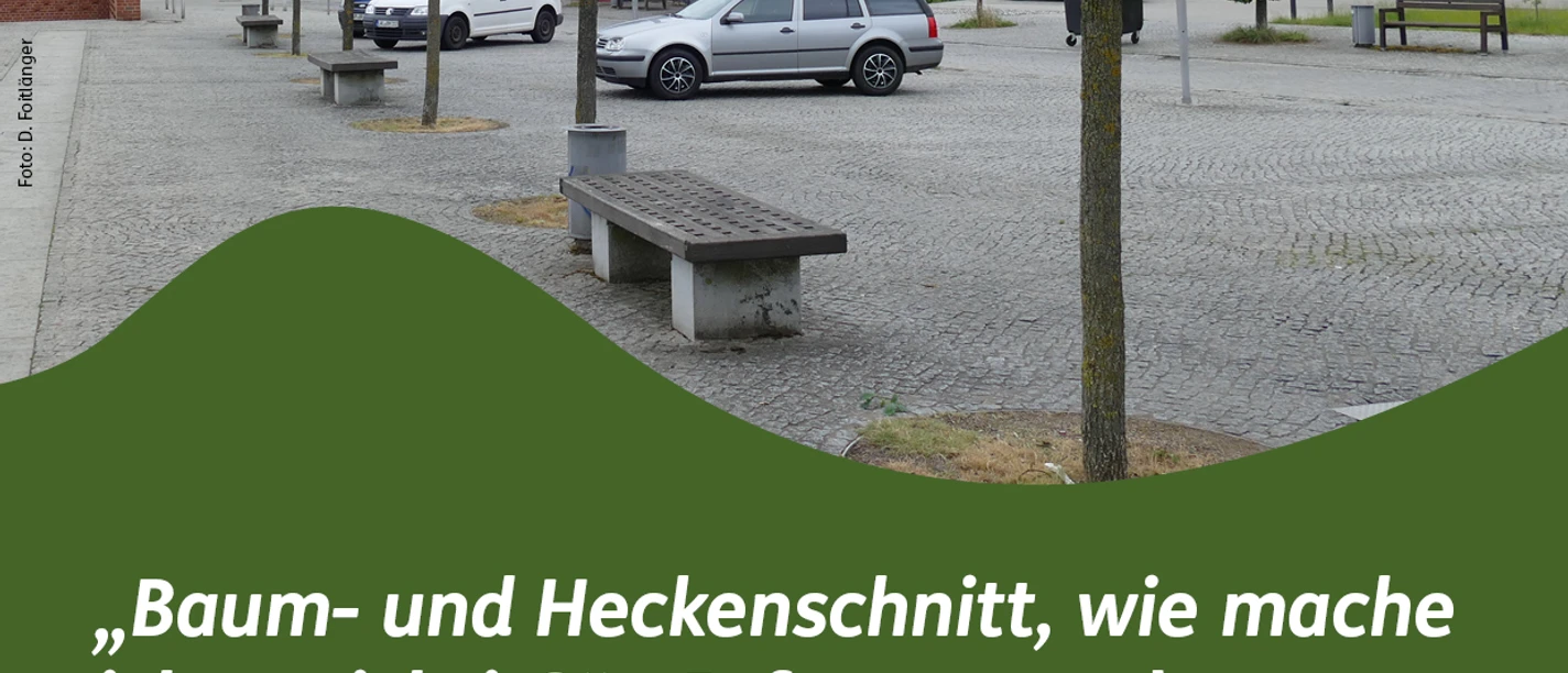 Plakat: Baum- und Heckenschnitt