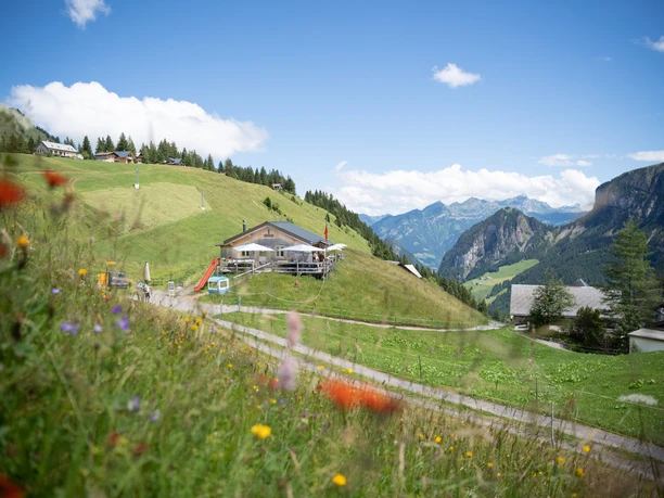 VL_SHT_ALPSTUBLI_1407729.jpg