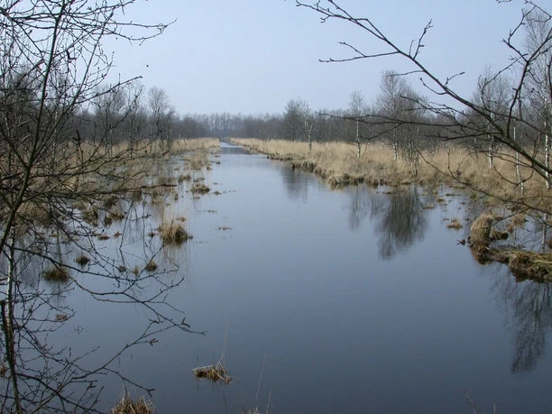 Naturschutzgebiet Imkehörn im Saterland 2003, Herbst