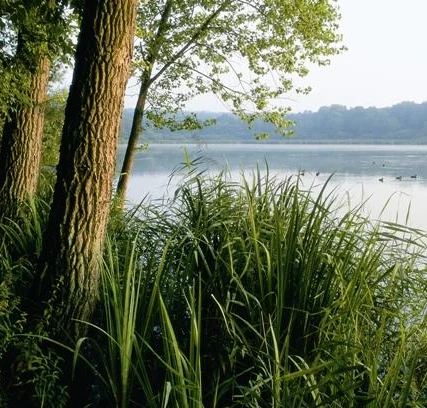 Norderteich Bäume und hohes Gras säumen das Ufer eines ruhigen Sees, umgeben von bewaldeten Hügeln.