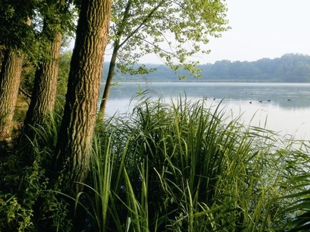 Norderteich Bäume und hohes Gras säumen das Ufer eines ruhigen Sees, umgeben von bewaldeten Hügeln.