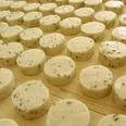 Nieheim, Nieheimer Käse Runde Käselaibe mit Kümmel liegen auf hölzerner Oberfläche, angeordnet in symmetrischen Reihen.