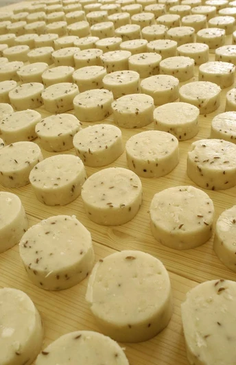 Nieheim, Nieheimer Käse Runde Käselaibe mit Kümmel liegen auf hölzerner Oberfläche, angeordnet in symmetrischen Reihen.