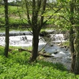 Steinheim, Emmer Kleiner Wasserfall der Emmer im Grünen, umgeben von Bäumen und üppiger Vegetation.