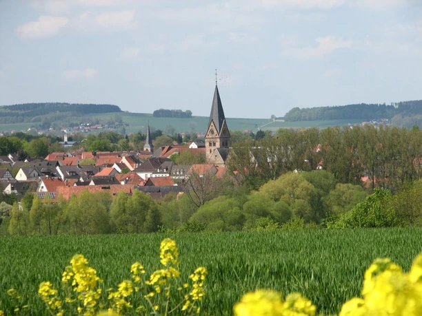 Steinheim, Stadtshilouette Stadt Silhouette von Steinheim, umgeben von grünen Feldern und Bäumen, mit Kirchturm im Zentrum.