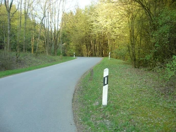 Apachenpass Eine kurvige Landstraße führt durch einen von grünen Bäumen gesäumten Waldabschnitt.