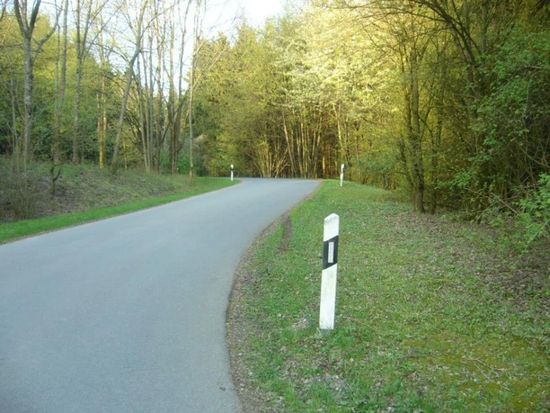 Apachenpass Eine kurvige Landstraße führt durch einen von grünen Bäumen gesäumten Waldabschnitt.