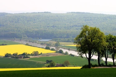 Wesertal bei Brevörde Blick über das Wesertal bei Brevörde, mit leuchtenden Rapsfeldern und der Weser in der Ferne.