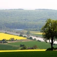 Wesertal bei Brevörde Blick über das Wesertal bei Brevörde, mit leuchtenden Rapsfeldern und der Weser in der Ferne.