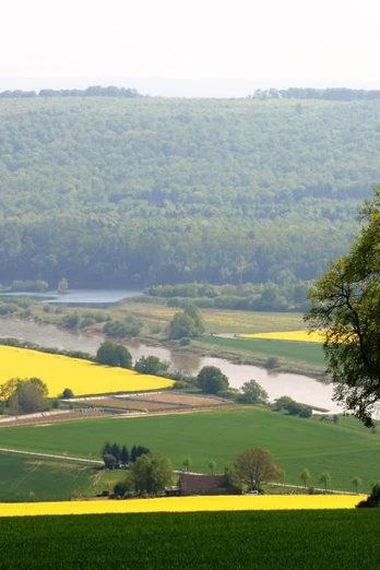 Wesertal bei Brevörde Blick über das Wesertal bei Brevörde, mit leuchtenden Rapsfeldern und der Weser in der Ferne.