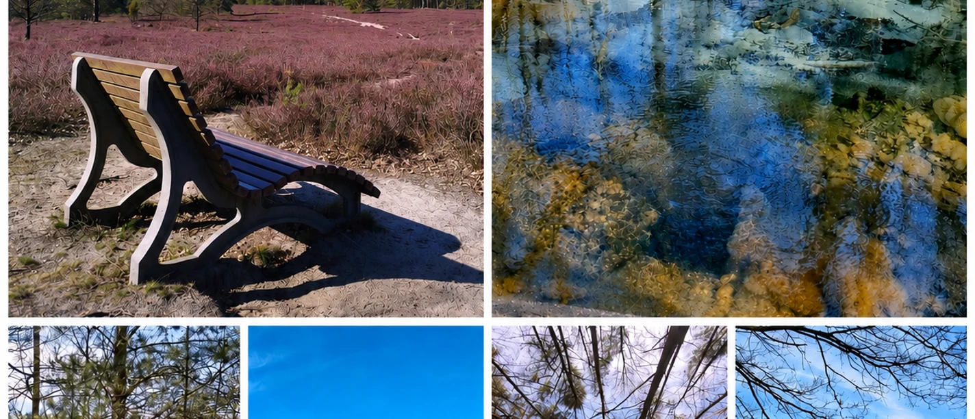Fotocollage Schwindebecker Heide.png