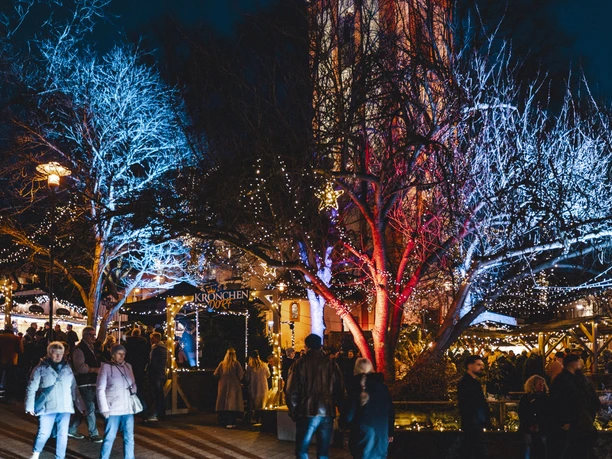 Weihnachten_2025-114.jpg