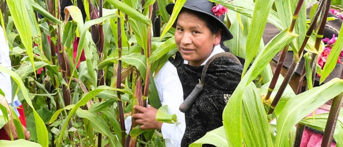 Eine Bäuerin in Peru bei der Arbeit auf dem Feld