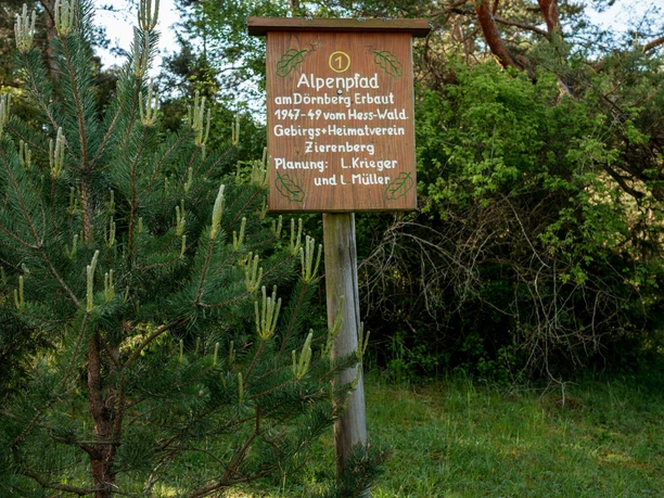 Alpenpfad