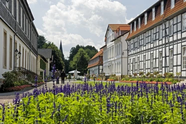Blick auf dem Hauptteil des Gräflichen Parks.