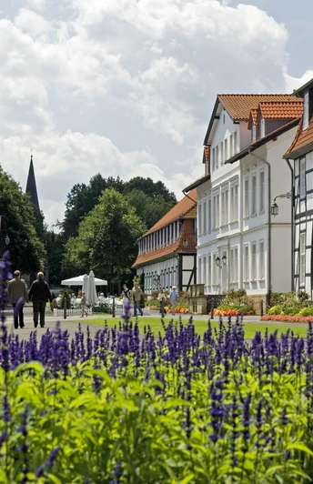 Bad Driburg - Gräflicher Park - Hauptachse Blick auf dem Hauptteil des Gräflichen Parks.