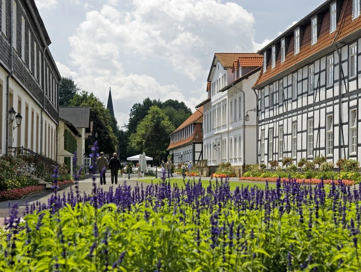 Bad Driburg - Gräflicher Park - Hauptachse Blick auf dem Hauptteil des Gräflichen Parks.