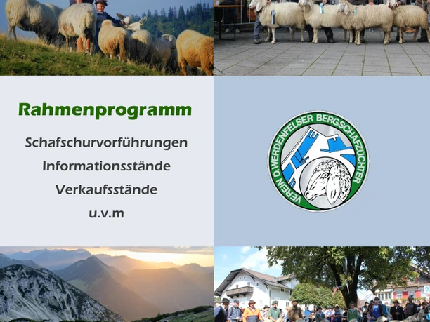 Rahmenprogramm große Bergschafprämierung