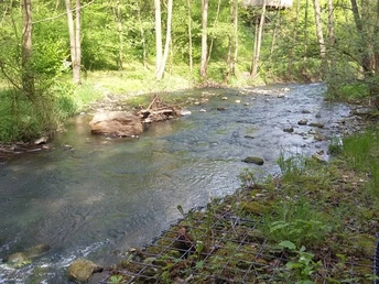 Ein Bach fließt durch einen grünen Wald, umgeben von Bäumen und an einem Gitterzaun entlang.