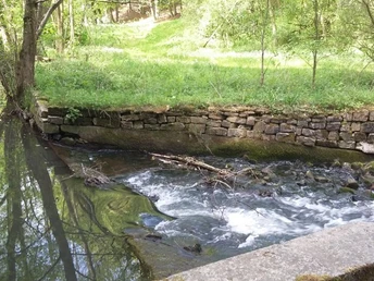 Ein sanft plätschernder Bach fließt über Steine, umgeben von Bäumen und einer alten Steinmauer.