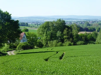 Blick auf eine grüne Wiesenlandschaft mit einem Bauernhaus und dichten Bäumen im Hintergrund.