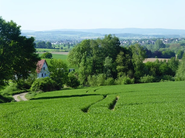 Blick auf eine grüne Wiesenlandschaft mit einem Bauernhaus und dichten Bäumen im Hintergrund.