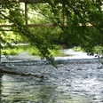 Lippe beim alten Wehr Flusslauf mit kleinem Wasserfall unter einer Brücke, umgeben von dichtem, grünem Laub.