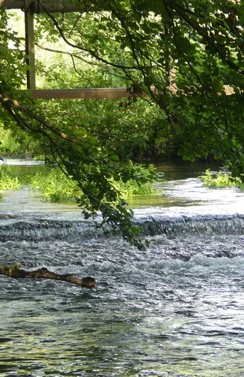 Lippe beim alten Wehr Flusslauf mit kleinem Wasserfall unter einer Brücke, umgeben von dichtem, grünem Laub.