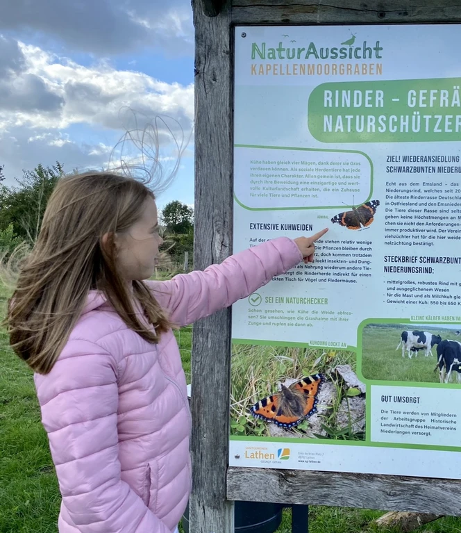 Familienfrundliche Naturaussicht Kapellenmoorgraben.jpeg