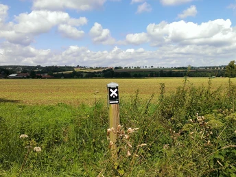Weite Felder unter blauem Himmel mit Wolken, ein Wanderwegzeichen in der grünen Vegetation.