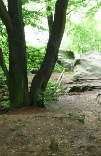 Schöne Aussichten am OH6